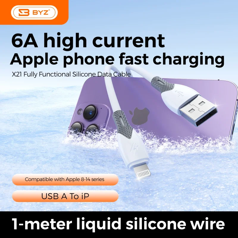 Data Cable X21 Type A to Type iP