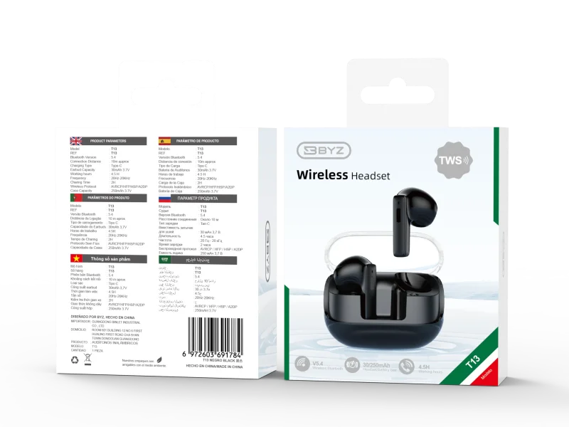TWS Bluetooth Earphone BYZ T13